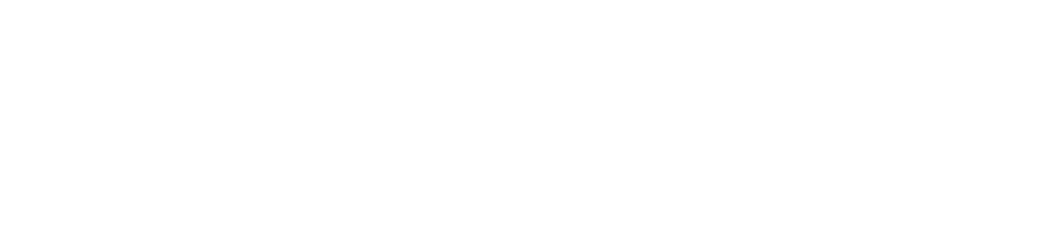 Vertocity Logo